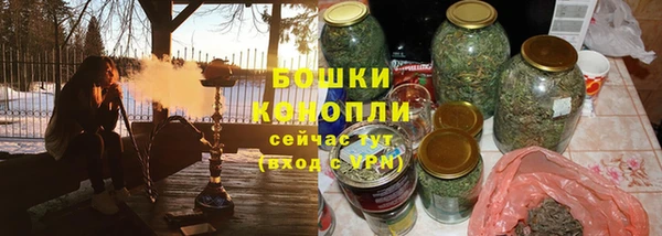 шишки Аркадак