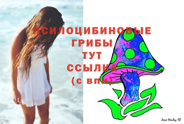 шишки Аркадак