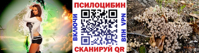 Галлюциногенные грибы прущие грибы  сколько стоит  нарко площадка Telegram  Венёв 
